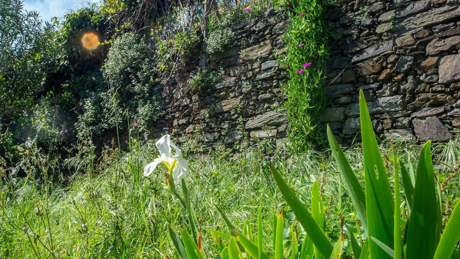 Macaia Apartment With Ac Vernazza Italy